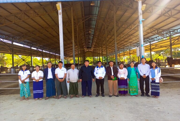 Read more about the article Field Inspection of Magway Region Investment Monitoring Team