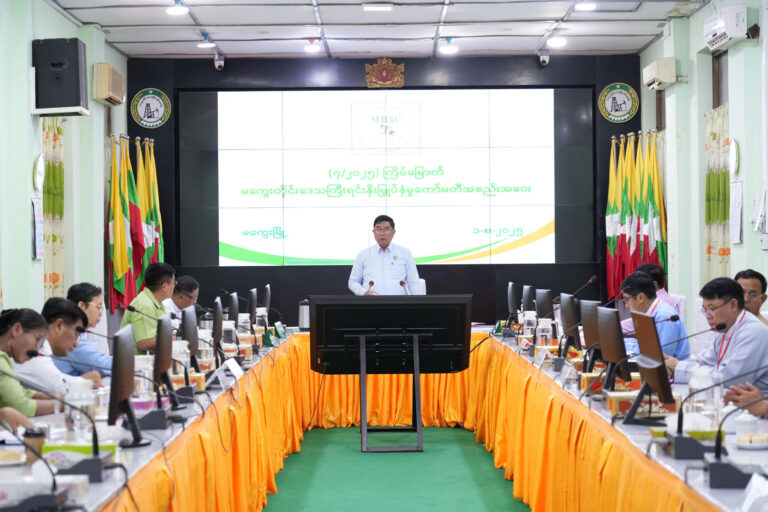 Read more about the article မကွေးတိုင်းဒေသကြီးရင်းနှီးမြှုပ်နှံမှုကော်မတီ  (၇/၂၀၂၅) ကြိမ်မြောက်အစည်းအဝေးကျင်းပခြင်း