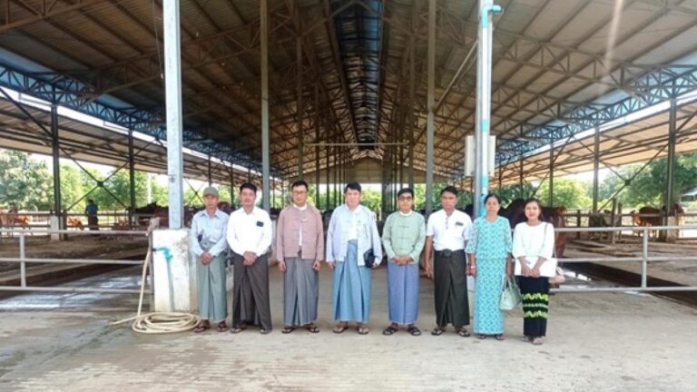 Read more about the article Field Inspection of Magway Region Investment Monitoring Team