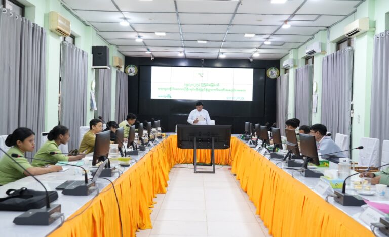 Read more about the article Magway Region Investment Committee Meeting (9/2025) was held